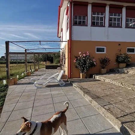 Casa Da Vinha Grande Guest house