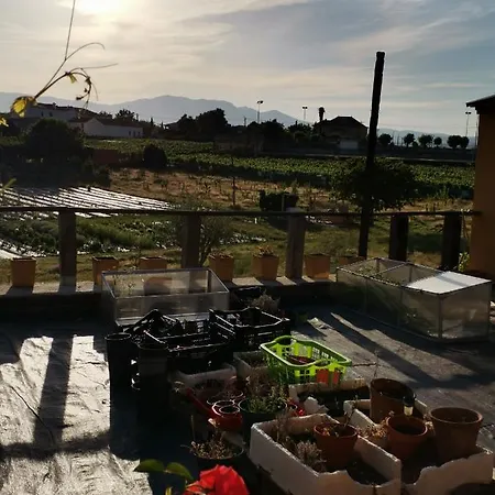 Casa Da Vinha Grande Gæstehus 4*