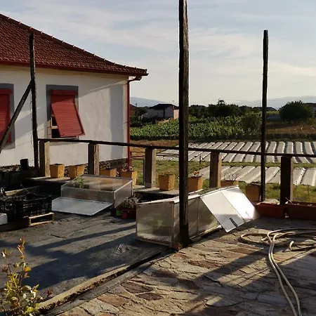 Casa Da Vinha Grande Guest house Poiares