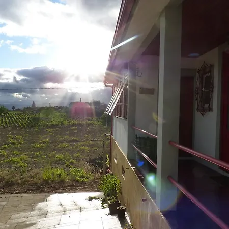 Casa Da Vinha Grande Gæstehus