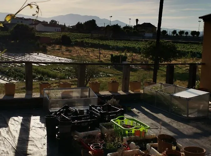 Casa Da Vinha Grande Guest house 4*