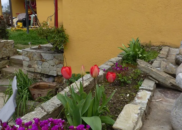 Casa Da Vinha Grande 4*