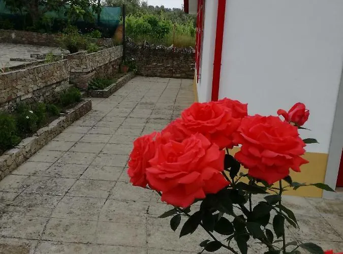 Guest house Casa Da Vinha Grande Poiares